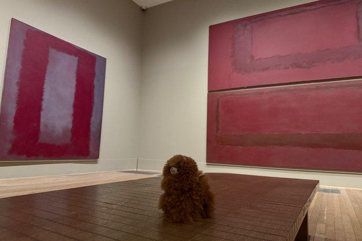 Tate Modern Private Guided Tour