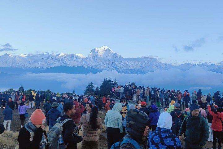 Ghorepani Poonhill Trek from Pokhara
