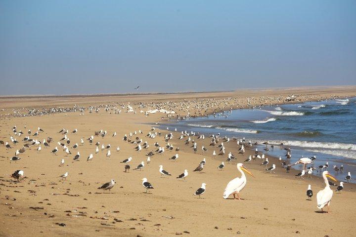 Panorama Sandwich Harbour 4x4 Ausflug Walvis Bay mit Inhaber ±4 Std.