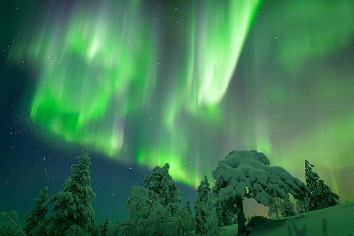 Privétour Aurora (1 - 4) - Saariselkä