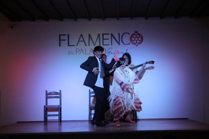 Flamenco-show på Palacio Granada