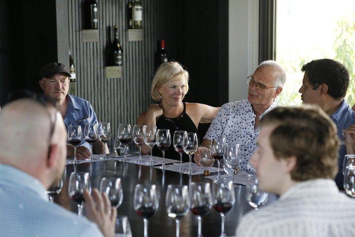 Santiago : tour della Valle di Maipo, vino, pisco e pranzo inclusi