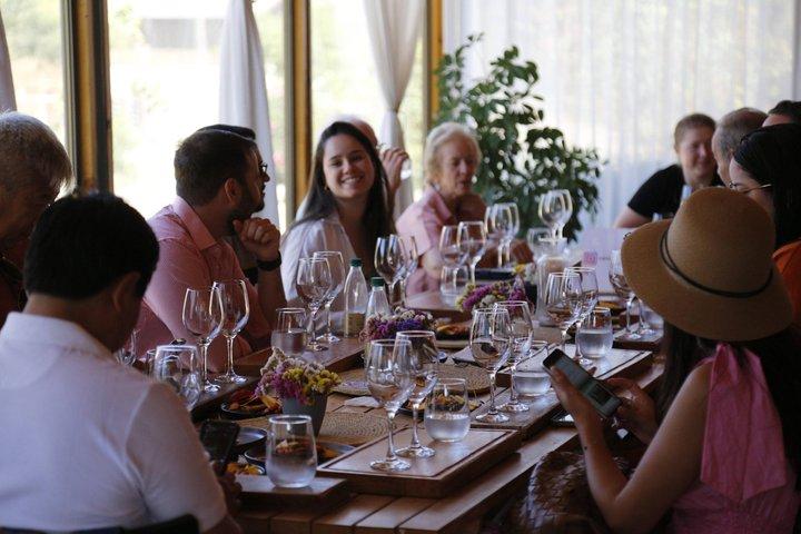 Santiago : tour della Valle di Maipo, vino, pisco e pranzo inclusi