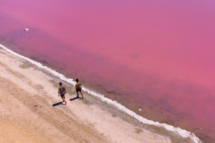 4 - Day Monkey Mia Dolphins Pink Lake Pinnacles Visite de niveau confort