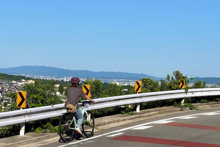 Osaka E cykeltur: Hidden Nature, Temple & Japanese Cheesecake