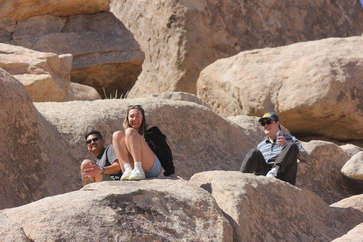 Guide til Joshua Tree National Park med lokale eksperter