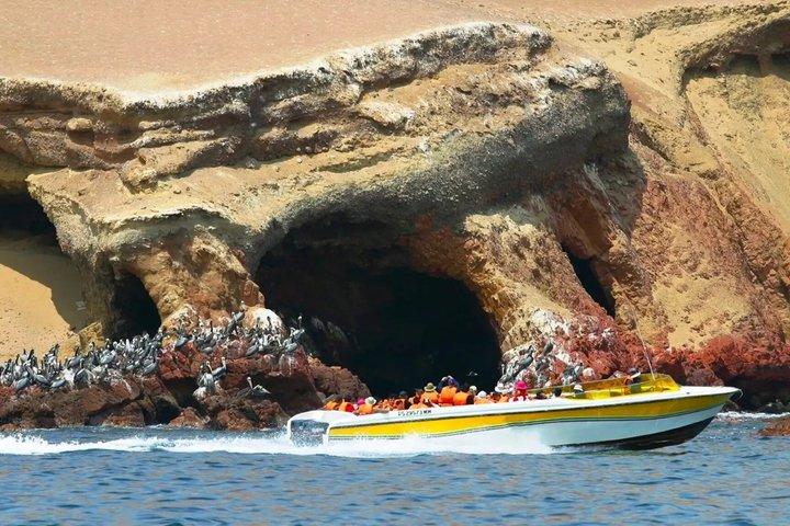 Premium Paracas & Huacachina Gita di un giorno da Lima con brindisi al tramonto