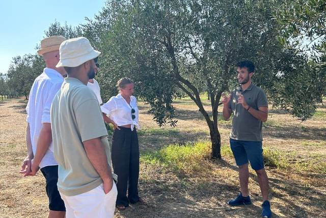Wine & Olive Oil