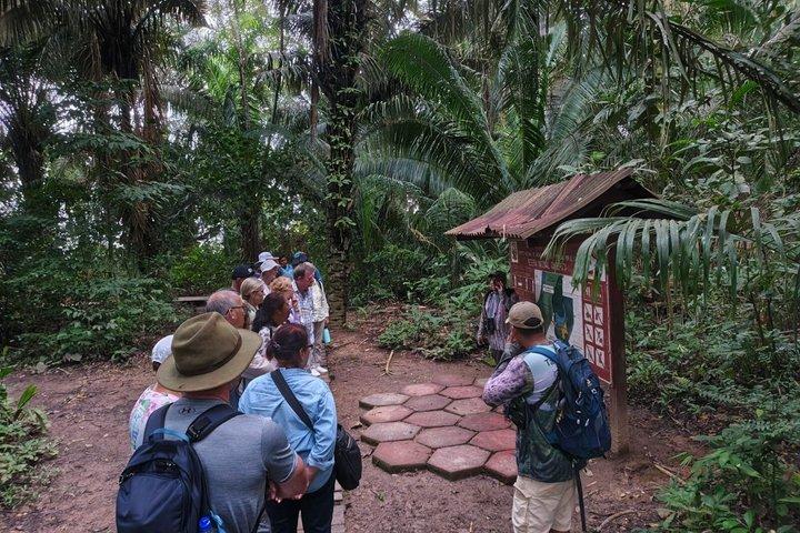 Excursion VIP de 3 jours à Tambopata pour observer la faune sauvage au Pérou