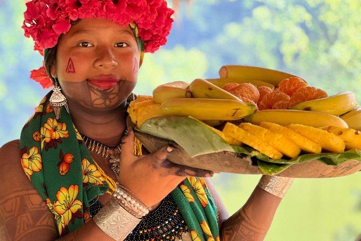 From Panama City Cultural Experience Emberá Parara Pururú
