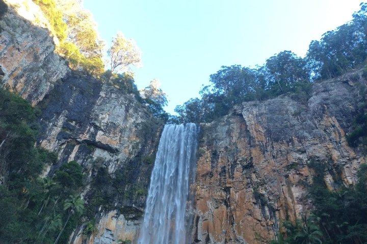 Excursão privada Gold Coast Hinterland Waterfalls & Rainforest