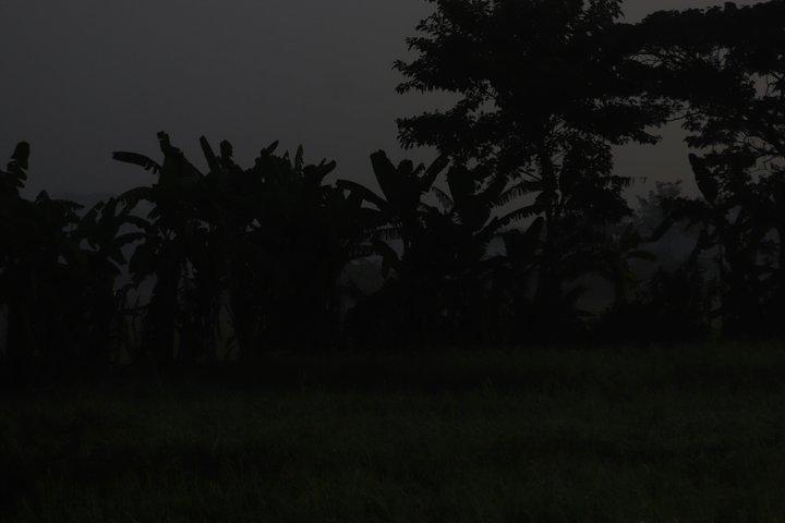Ubud Notte, Giardino Magico delle Lucciole