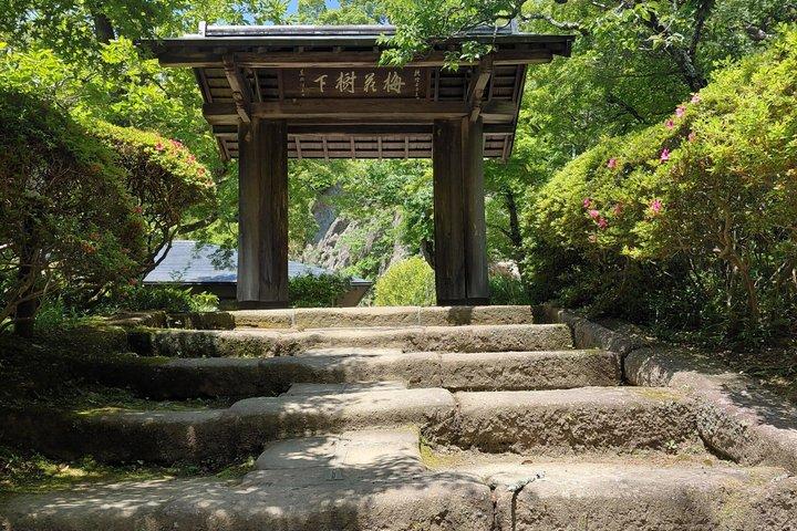 Hidden Kamakura Caminata Templos Zen Bosque de Bambú y Gran Buda