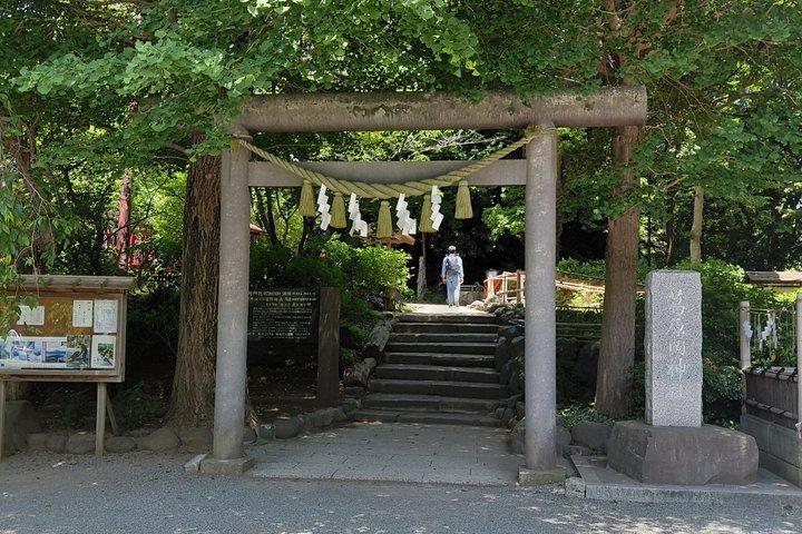 Hidden Kamakura Caminata Templos Zen Bosque de Bambú y Gran Buda
