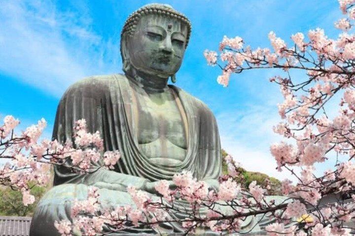 Hidden Kamakura Caminata Templos Zen Bosque de Bambú y Gran Buda