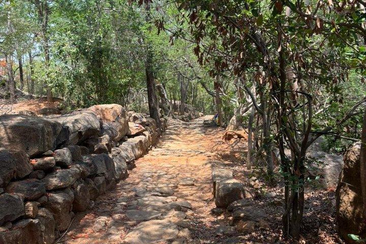 Fra Chennai Private Spiritual Tour til Tiruvannamalai