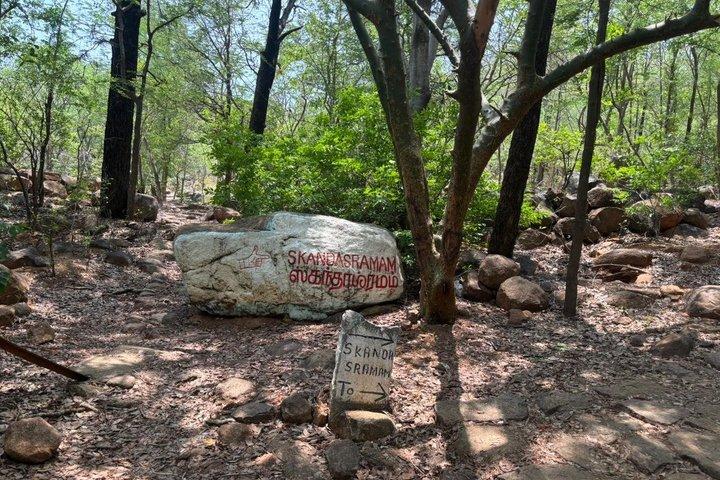 Fra Chennai Private Spiritual Tour til Tiruvannamalai
