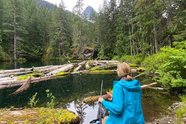 Seattle : North Cascades Nat Park Highlights (repas du midi)