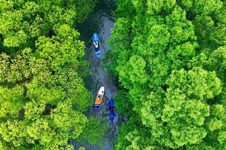 Shanghai Chongming Insel Feuchtgebiet und Wasserwald Kanutour