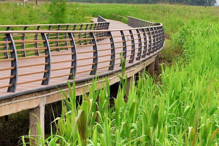 Shanghai Chongming Insel Feuchtgebiet und Wasserwald Kanutour