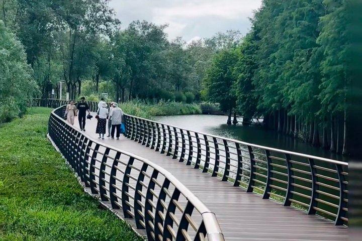 Shanghai Chongming Insel Feuchtgebiet und Wasserwald Kanutour