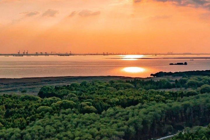 Shanghai Chongming Insel Feuchtgebiet und Wasserwald Kanutour