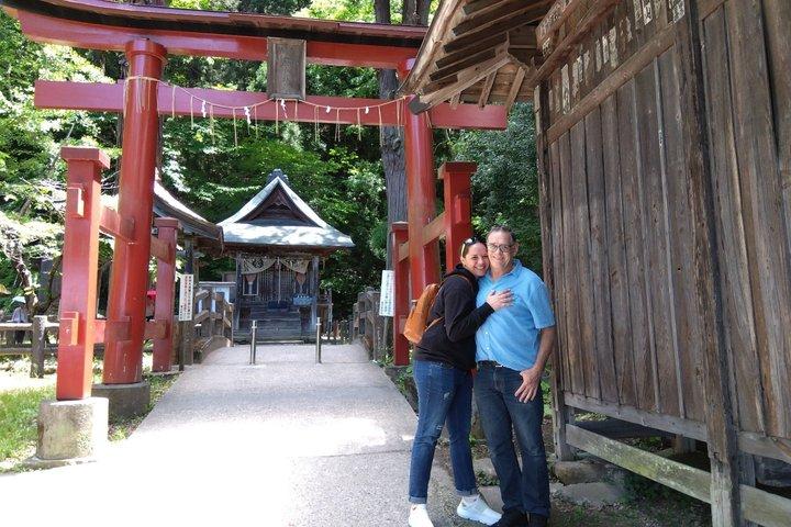 Aizu 6 uur privétour met door de overheid gelicentieerde gids