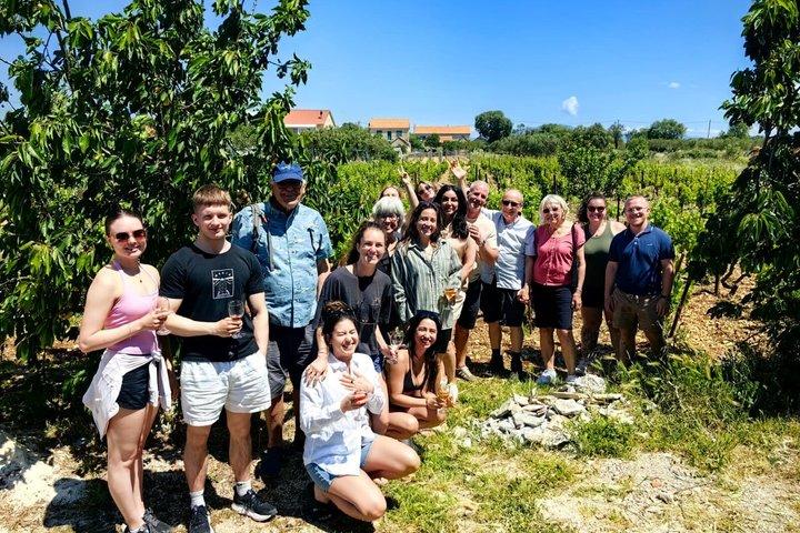 Tour privado a las cascadas Krka desde Split