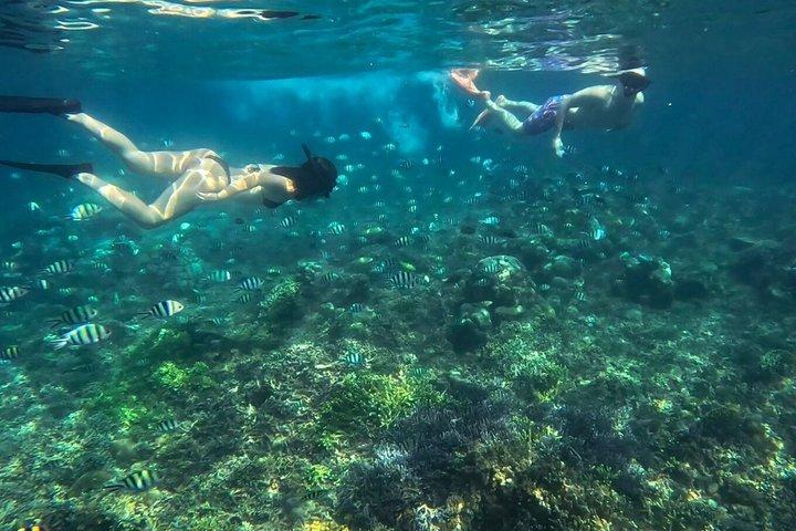 ロンボク:秘密のギリプライベートシュノーケリングボート旅行