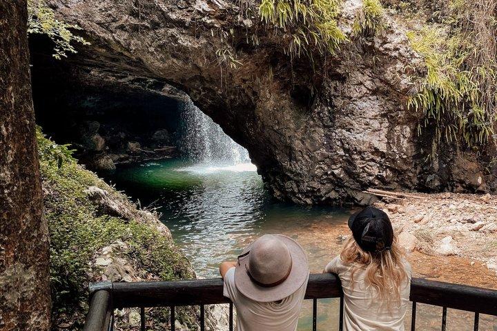Excursão privada Gold Coast Wildlife Waterfalls and Rainforest