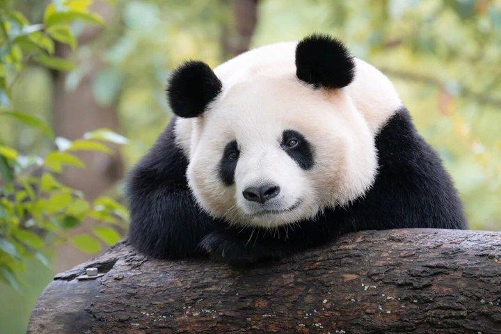 Experimenta Leshan con excursiones en coche y barco compartidos