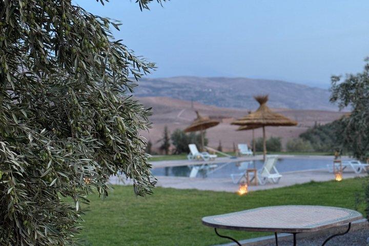 From marrakech :Enjoy Agafay desert pool with Lunch & camel ride