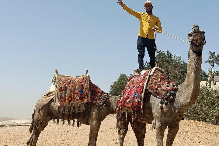 Private Layover Tour: Pyramiderne i Giza og det store egyptiske museum