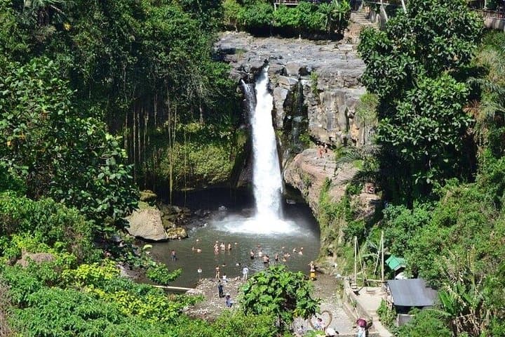Best of Ubud Tour - Private Full Day Experience