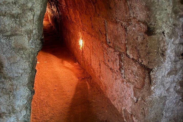 Excursion privée d'une journée dans les tunnels de Cu Chi et le delta du Mékong