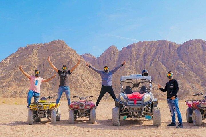Sharm El Sheikh Safari Quad con giro in cammello e trasferimento