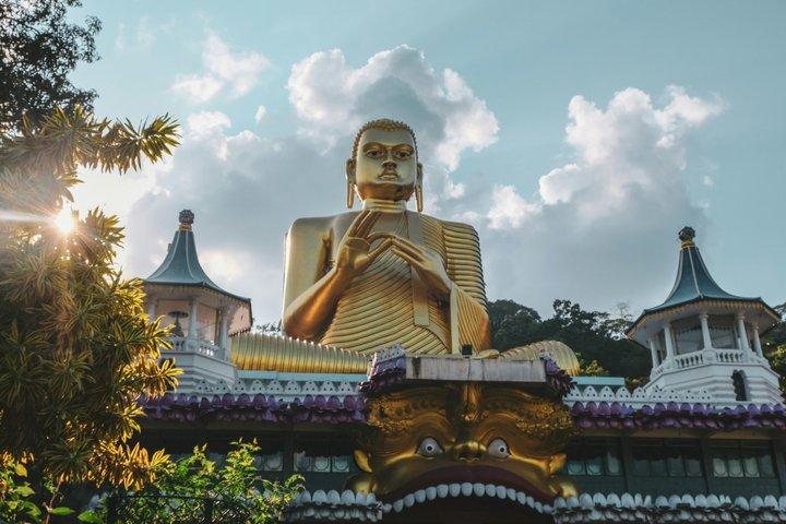 Colombo/Negombo : tour privato di Sigiriya Dambulla Minneriya Safari