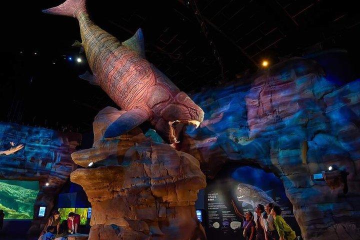 Singapur Oceanarium Eintrittskarte