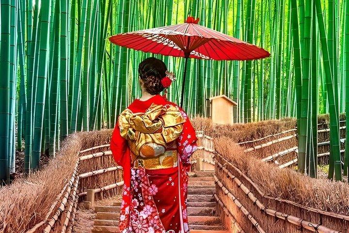 Kyoto Customized Private Tour with English speaking Guide