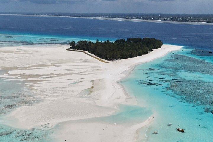 Sansibar Delfinschwimmen und Korallenschnorcheln