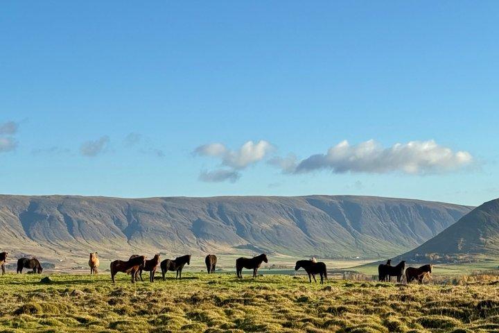 Private Golden Circle Tour ab Reykjavik