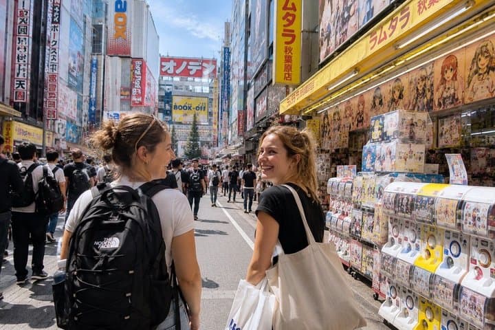 Tokyo Private Akihabara Anime Manga Walking Tour with Hidden Gems