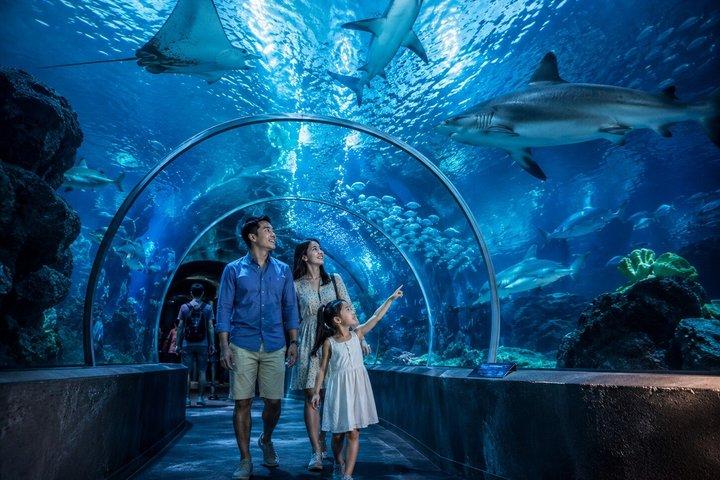 SEA LIFE Bangkok Ocean World Standard adgangskort
