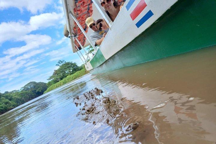 Jungle Crocodile Safari: tour dei coccodrilli del fiume Tarcoles