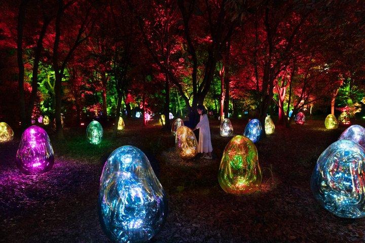 TeamLab Botanische Tuin Osaka Nachtelijke kunstervaring