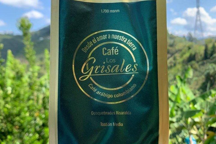 Kaffeoplevelse nær Pereira: Kaffetur Los Grisales