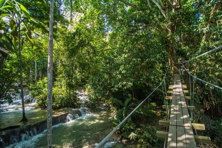 Dunns River Falls Climb Zipline and Catamaran Tour saindo de Kingston
