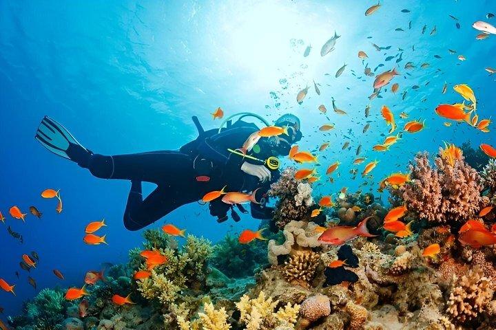 Sharm El Sheikh : Ras Mohamed & White Island Luxe jachttrip!