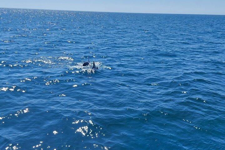 Sailing adventure through Estepona Small Group