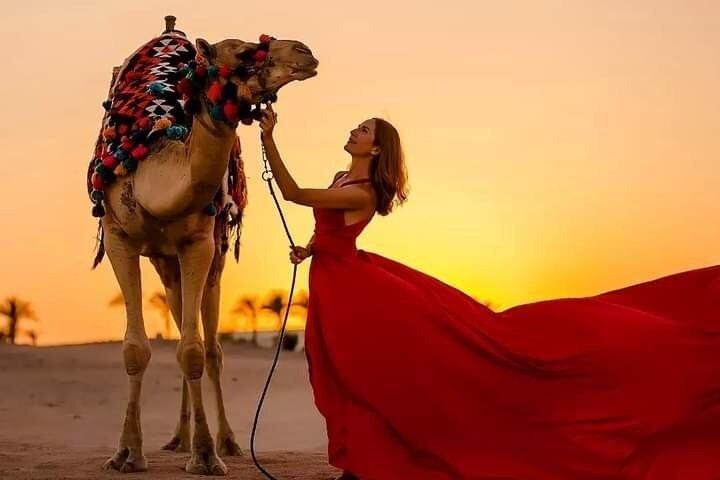 Horse Riding & Camel Beach,Desert, Swim,Sunrise & Sunset-Hurghada